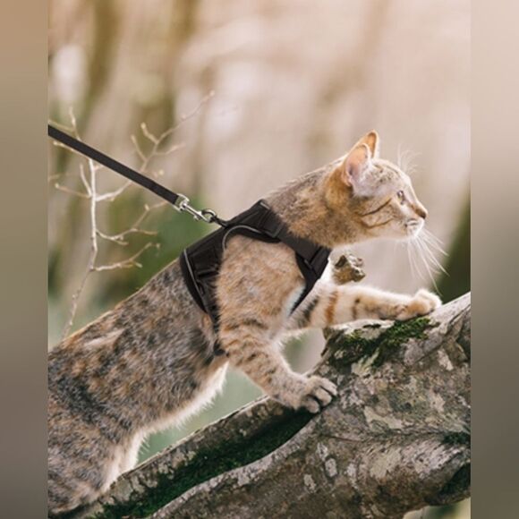 🔹️NIB Black Cat or Dog Reflective Harness & Leash Small - Picture 2 of 16